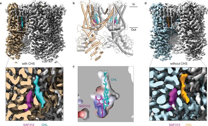 https://cdn.ncbi.nlm.nih.gov/pmc/blobs/e2d5/11303535/05c48d77c083/41467_2024_51085_Fig2_HTML.jpg