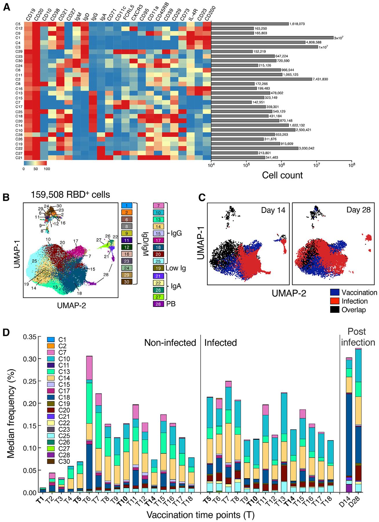 https://cdn.ncbi.nlm.nih.gov/pmc/blobs/e2d5/12080740/3d2bda238d62/nihms-2076671-f0003.jpg