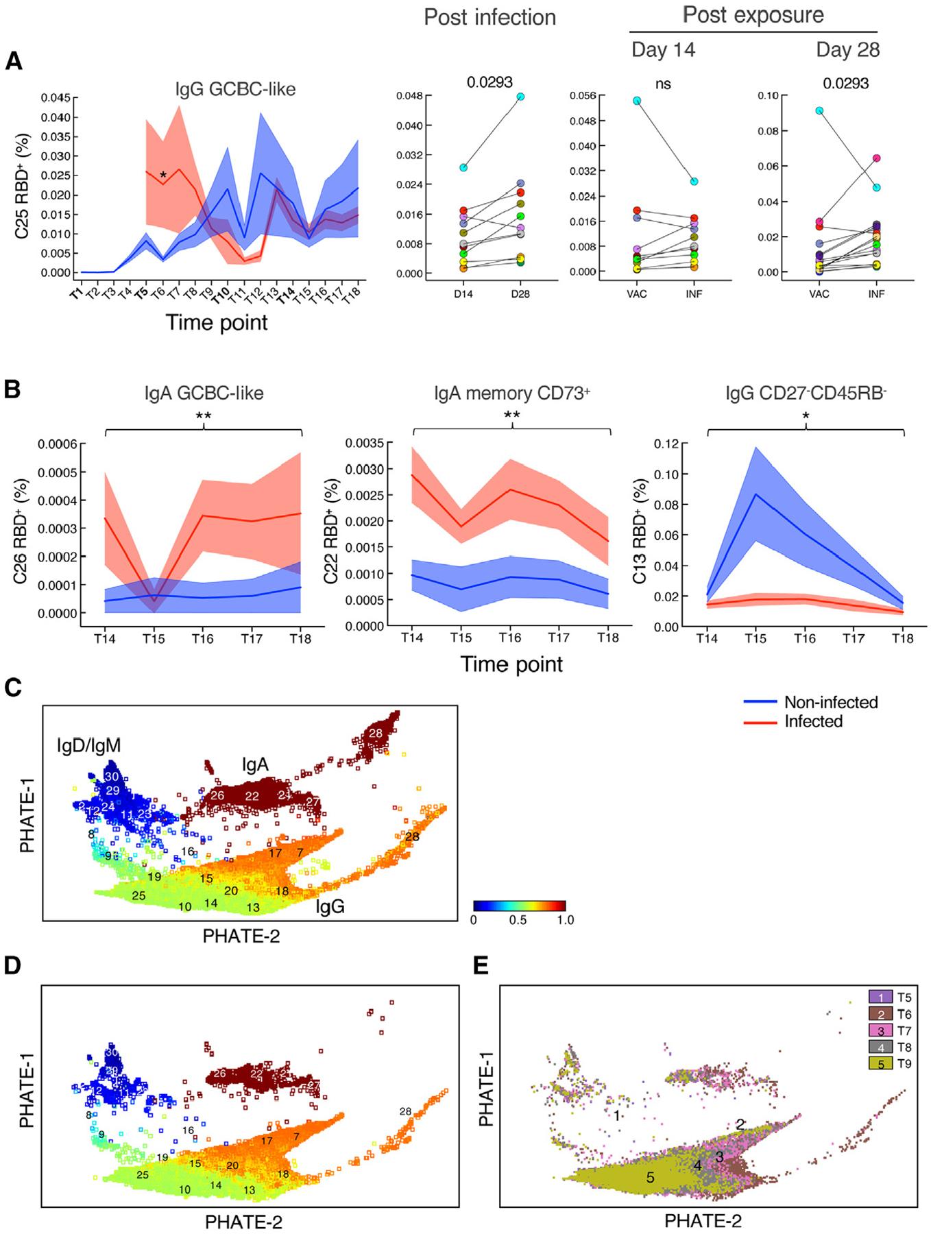 https://cdn.ncbi.nlm.nih.gov/pmc/blobs/e2d5/12080740/91890e8b0bf9/nihms-2076671-f0006.jpg