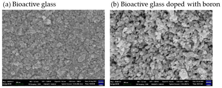 https://cdn.ncbi.nlm.nih.gov/pmc/blobs/e2d5/8005972/84effca0e926/gels-07-00031-g006.jpg