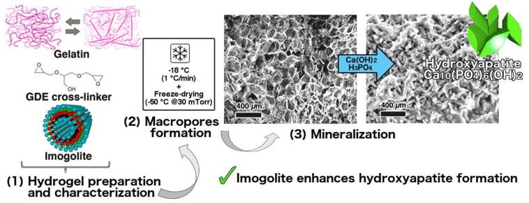 https://cdn.ncbi.nlm.nih.gov/pmc/blobs/e2d5/8005972/a2718feeeab0/gels-07-00031-g002.jpg