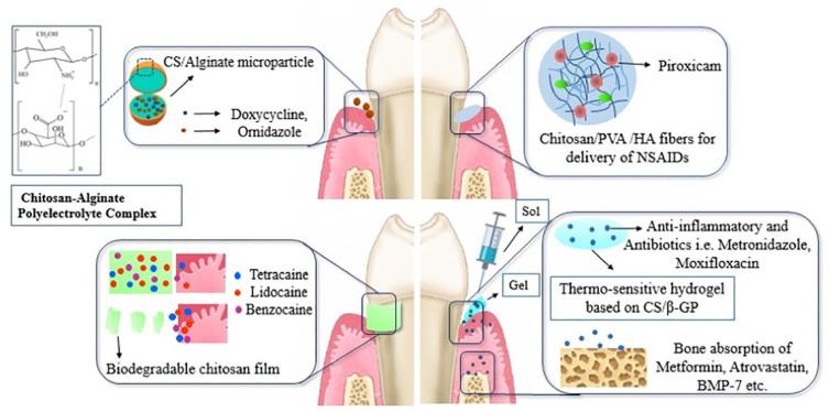 https://cdn.ncbi.nlm.nih.gov/pmc/blobs/e2d5/8005972/c7781bd4bd3e/gels-07-00031-g008.jpg