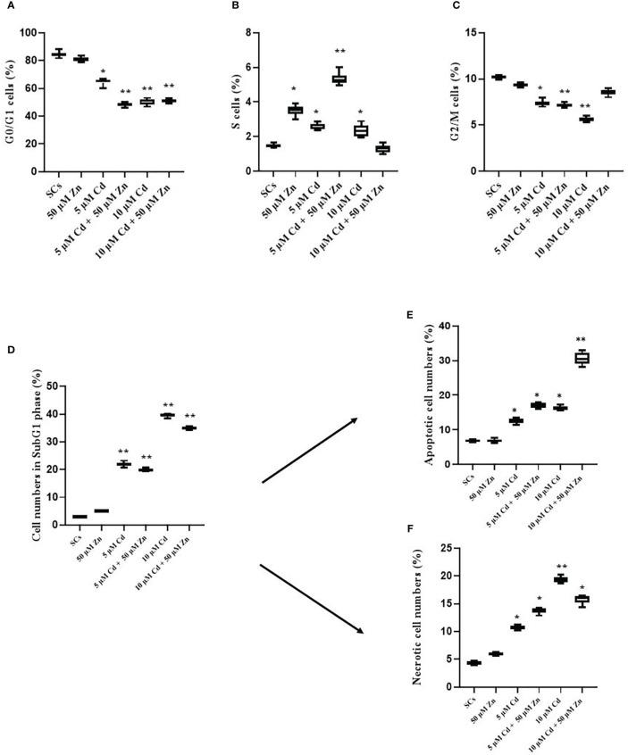 https://cdn.ncbi.nlm.nih.gov/pmc/blobs/e2d6/9950629/8d021bd276da/fendo-14-962519-g002.jpg
