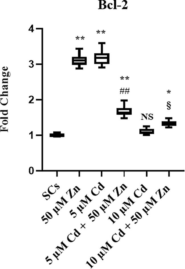 https://cdn.ncbi.nlm.nih.gov/pmc/blobs/e2d6/9950629/b2bab5adbb37/fendo-14-962519-g005.jpg