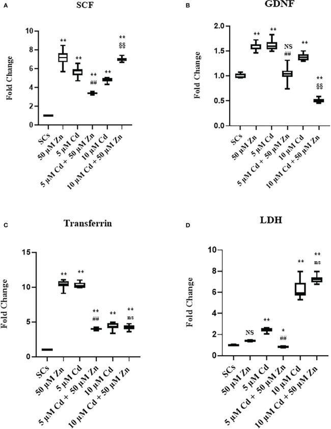 https://cdn.ncbi.nlm.nih.gov/pmc/blobs/e2d6/9950629/e7a48918fc52/fendo-14-962519-g006.jpg