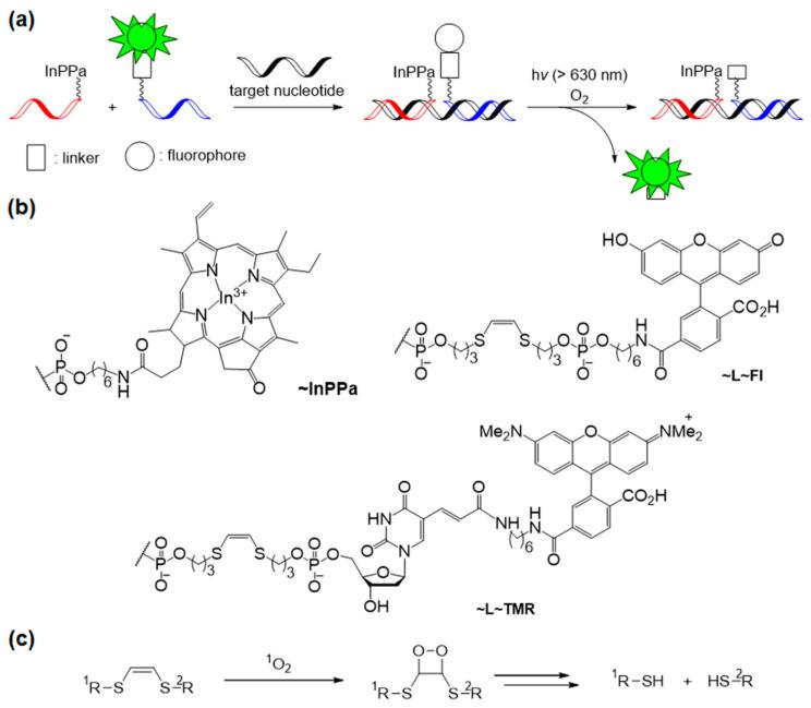 https://cdn.ncbi.nlm.nih.gov/pmc/blobs/e2d8/7865461/9d6e567edb39/molecules-26-00556-g014.jpg