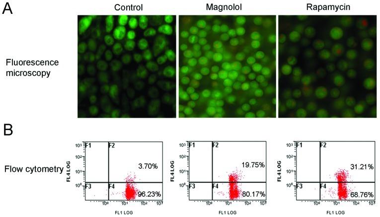 https://cdn.ncbi.nlm.nih.gov/pmc/blobs/e2dc/3584565/7b168798021a/IJO-40-04-1153-g04.jpg