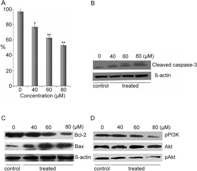https://cdn.ncbi.nlm.nih.gov/pmc/blobs/e2dc/3584565/a6a5aa72791a/IJO-40-04-1153-g03.jpg