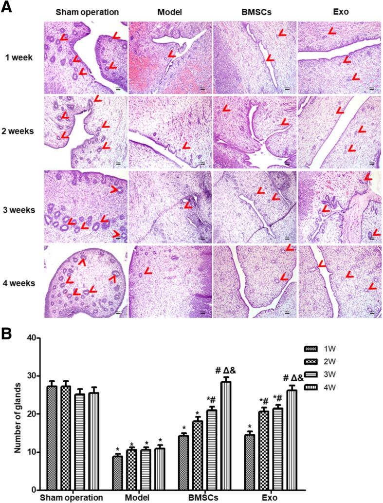 https://cdn.ncbi.nlm.nih.gov/pmc/blobs/e2de/6664513/3dec5cba7130/13287_2019_1332_Fig3_HTML.jpg