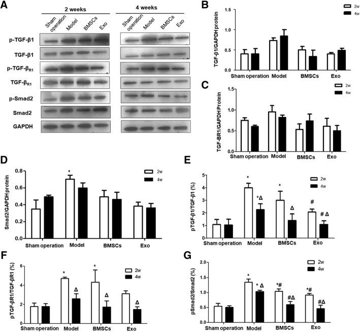 https://cdn.ncbi.nlm.nih.gov/pmc/blobs/e2de/6664513/a776142a7bd0/13287_2019_1332_Fig8_HTML.jpg