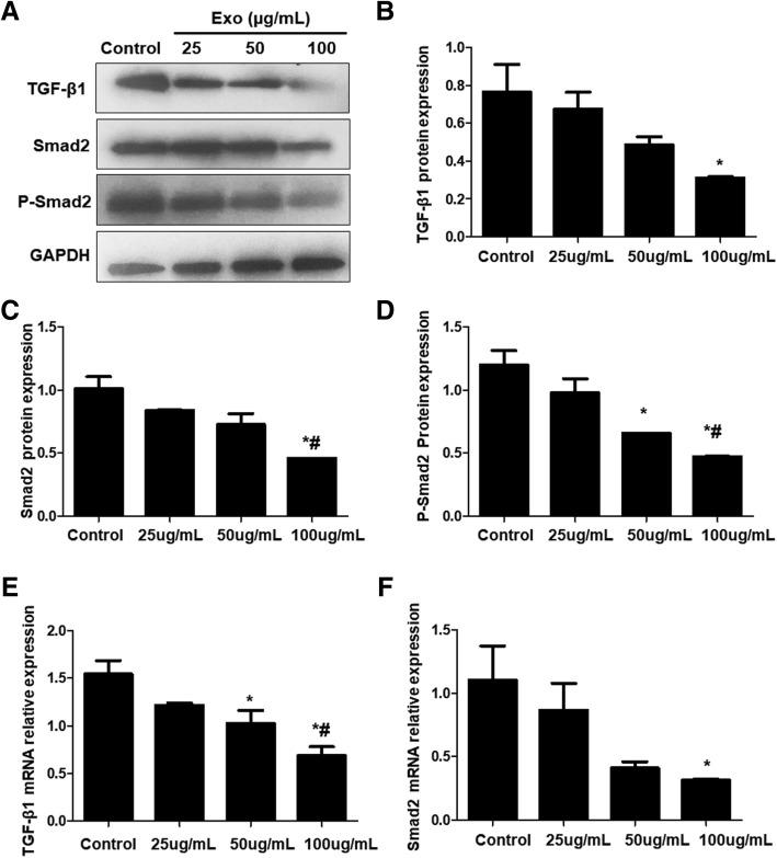 https://cdn.ncbi.nlm.nih.gov/pmc/blobs/e2de/6664513/bd225d1a75d2/13287_2019_1332_Fig11_HTML.jpg