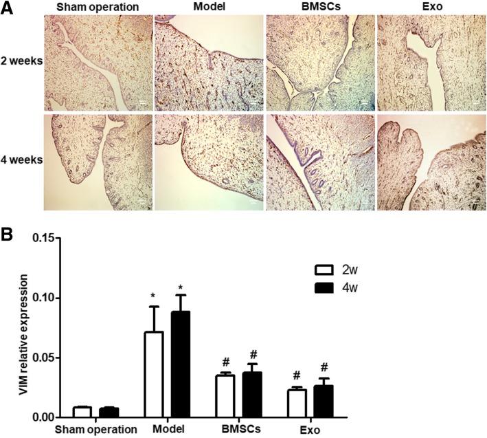https://cdn.ncbi.nlm.nih.gov/pmc/blobs/e2de/6664513/fb97bbe50737/13287_2019_1332_Fig6_HTML.jpg