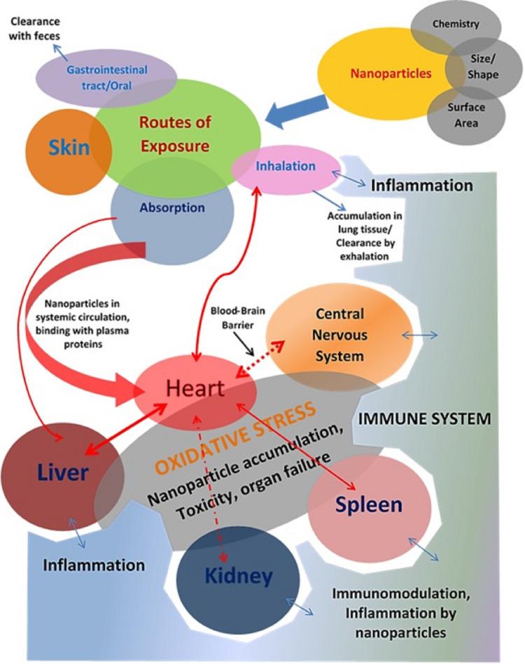 https://cdn.ncbi.nlm.nih.gov/pmc/blobs/e2e0/11448750/b600bb262886/peerj-12-17807-g001.jpg