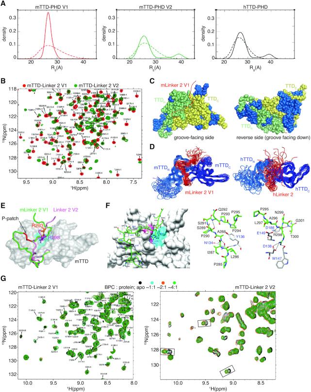 https://cdn.ncbi.nlm.nih.gov/pmc/blobs/e2e0/7430637/fbbde903689d/gkaa520fig5.jpg