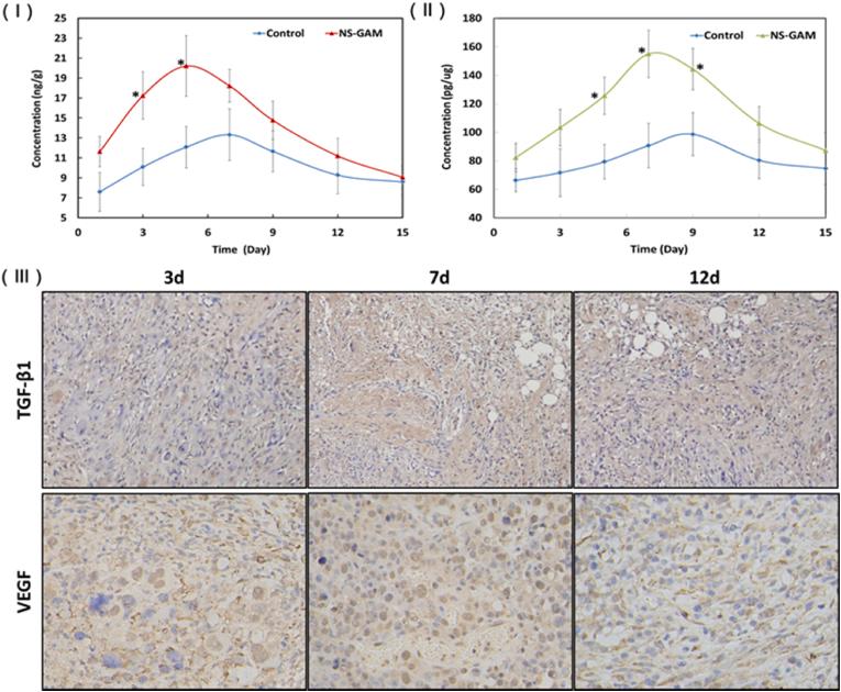 https://cdn.ncbi.nlm.nih.gov/pmc/blobs/e2e0/8935090/606983fa60e4/gr9.jpg