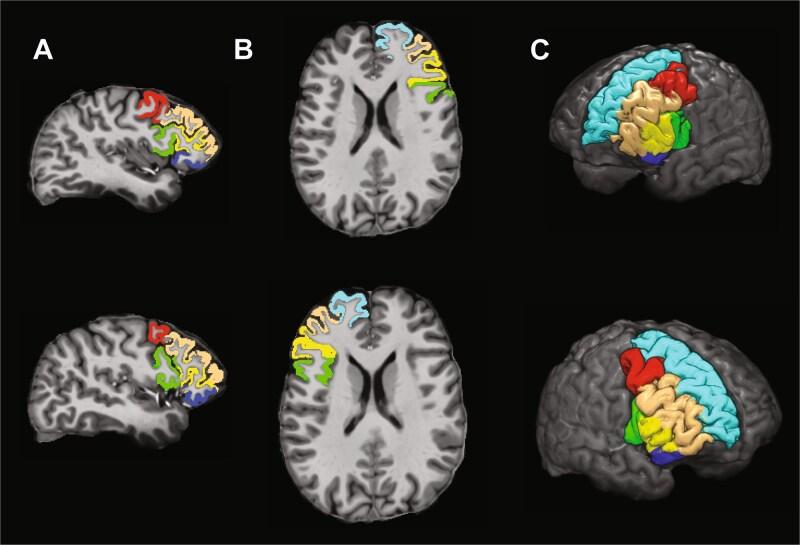 https://cdn.ncbi.nlm.nih.gov/pmc/blobs/e2e1/12365975/8a2e78396676/bhaf229f3.jpg