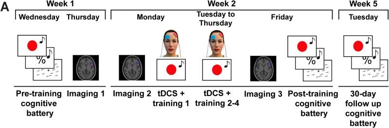https://cdn.ncbi.nlm.nih.gov/pmc/blobs/e2e1/12365975/feb8f20adcca/bhaf229f1.jpg