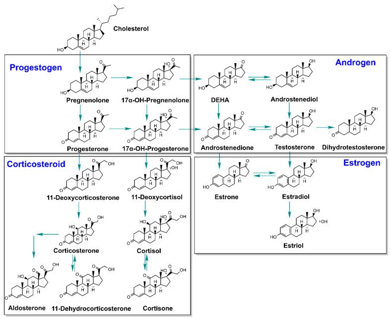 https://cdn.ncbi.nlm.nih.gov/pmc/blobs/e2e3/9699436/5b458ac21403/toxics-10-00687-g001.jpg