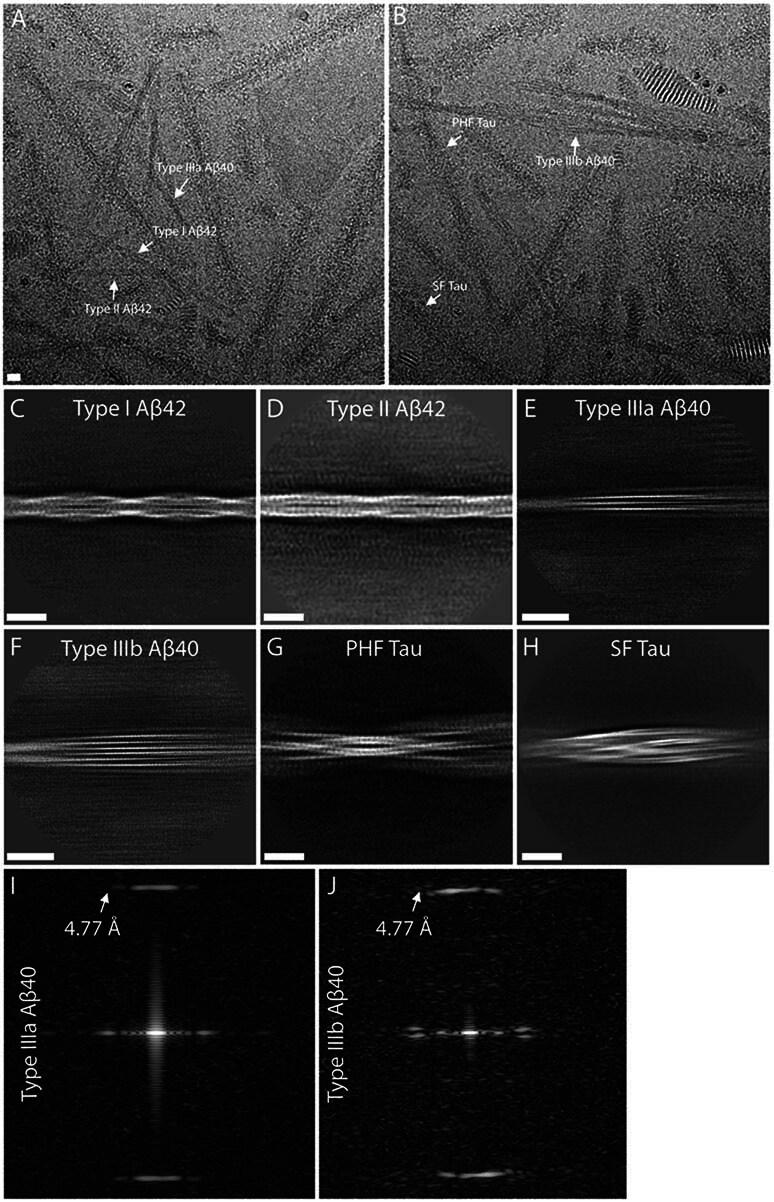https://cdn.ncbi.nlm.nih.gov/pmc/blobs/e2e8/11189299/26d0324e1be2/41594_2024_1252_Fig8_ESM.jpg