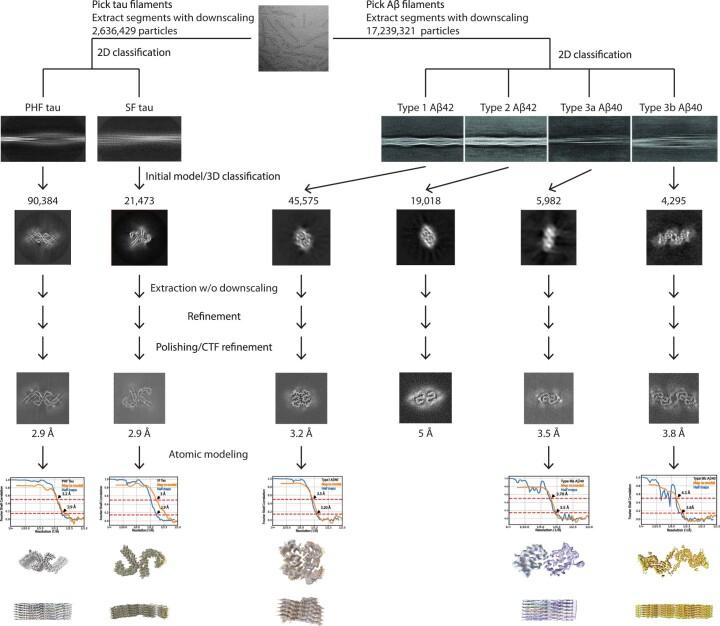 https://cdn.ncbi.nlm.nih.gov/pmc/blobs/e2e8/11189299/a15218cb4102/41594_2024_1252_Fig14_ESM.jpg
