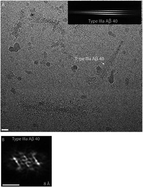 https://cdn.ncbi.nlm.nih.gov/pmc/blobs/e2e8/11189299/e67c1d53aa39/41594_2024_1252_Fig9_ESM.jpg