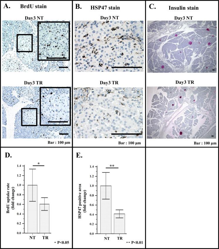 https://cdn.ncbi.nlm.nih.gov/pmc/blobs/e2e9/5147817/6984713e91a2/pone.0165747.g009.jpg