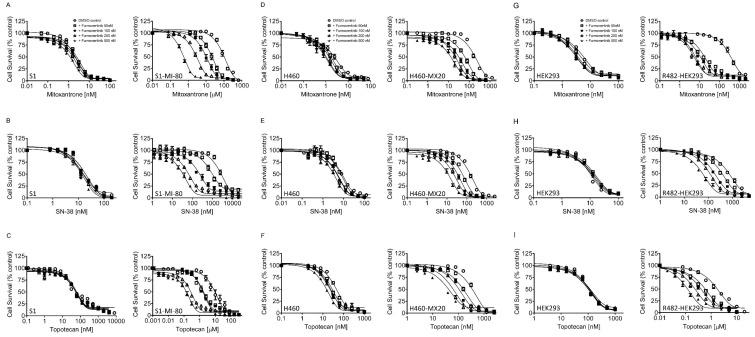 https://cdn.ncbi.nlm.nih.gov/pmc/blobs/e2eb/10531071/b6096eed2c7b/ijms-24-13972-g002.jpg