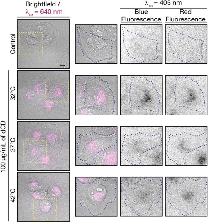 https://cdn.ncbi.nlm.nih.gov/pmc/blobs/e2eb/7509034/16b9fa6926bb/11671_2020_3413_Fig19_HTML.jpg