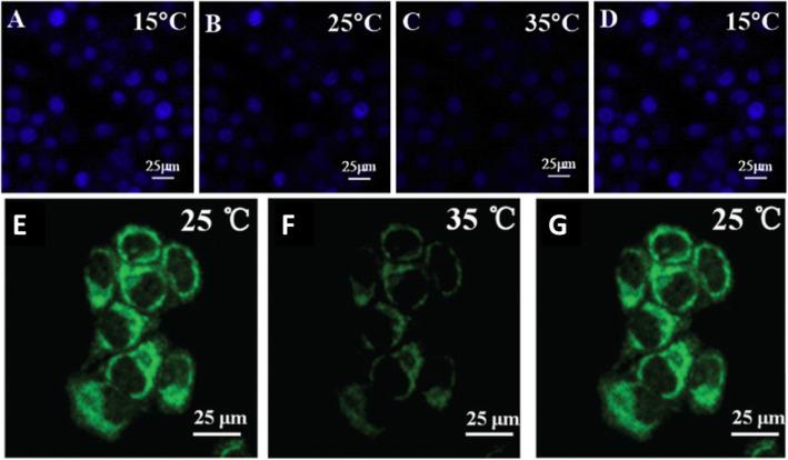 https://cdn.ncbi.nlm.nih.gov/pmc/blobs/e2eb/7509034/1f2ed6760771/11671_2020_3413_Fig20_HTML.jpg