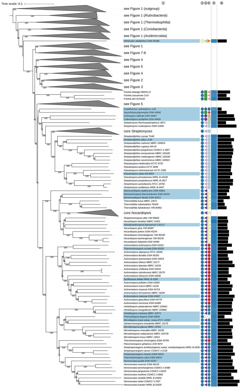 https://cdn.ncbi.nlm.nih.gov/pmc/blobs/e2ec/6113628/835ef6e6ff90/fmicb-09-02007-g0006.jpg