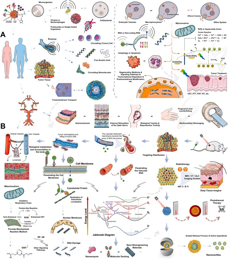 https://cdn.ncbi.nlm.nih.gov/pmc/blobs/e2ed/11000120/d085ca3278ba/gr8.jpg