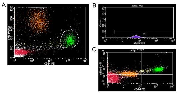 https://cdn.ncbi.nlm.nih.gov/pmc/blobs/e2ee/3042923/83925a3f73c4/1475-2840-10-14-1.jpg