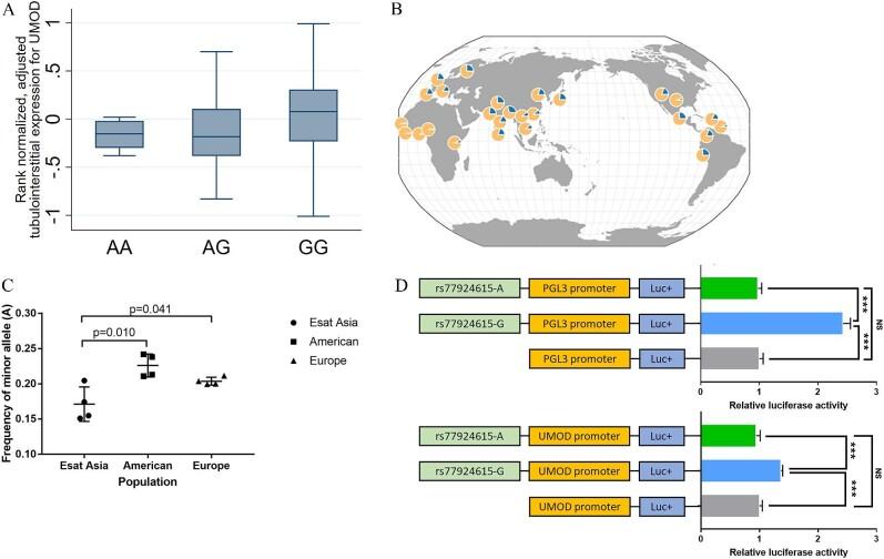 https://cdn.ncbi.nlm.nih.gov/pmc/blobs/e2f0/11322676/5272662ee389/sfae209fig3.jpg
