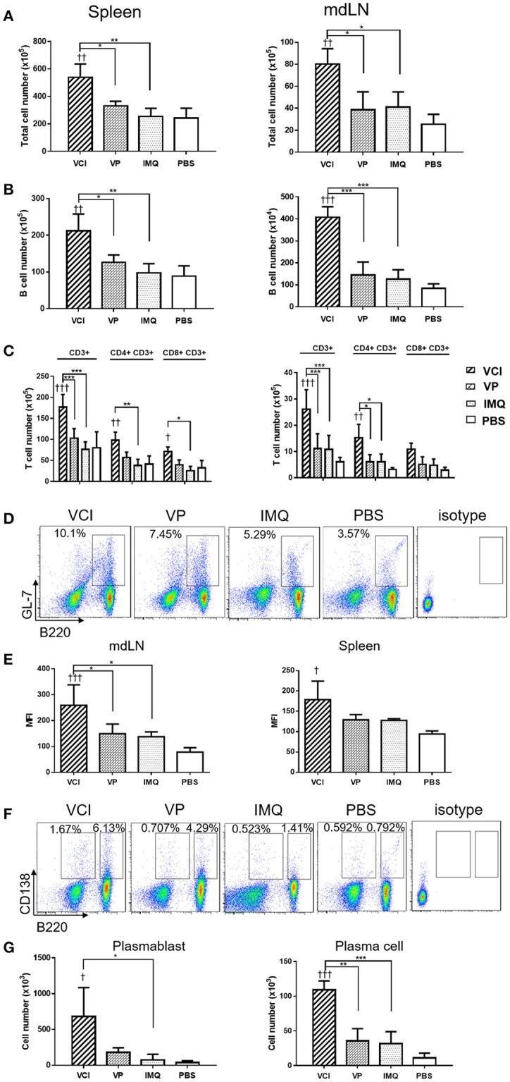 https://cdn.ncbi.nlm.nih.gov/pmc/blobs/e2f0/6194170/fa484298a129/fimmu-09-02370-g0006.jpg
