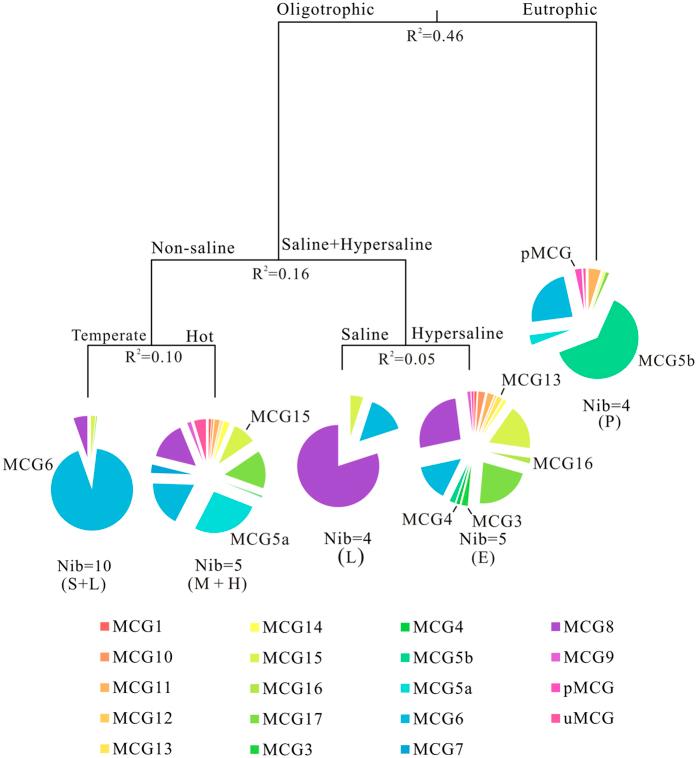 https://cdn.ncbi.nlm.nih.gov/pmc/blobs/e2f1/5359579/095d36e2abe2/srep45028-f5.jpg