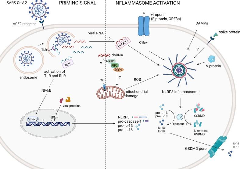 https://cdn.ncbi.nlm.nih.gov/pmc/blobs/e2f3/9170572/d8629075f095/gr1_lrg.jpg