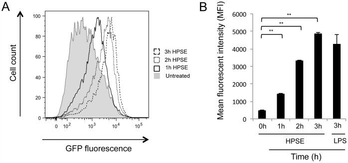 https://cdn.ncbi.nlm.nih.gov/pmc/blobs/e2f4/4190175/c04472894eb8/pone.0109596.g008.jpg