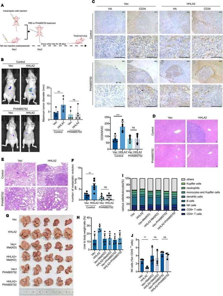 https://cdn.ncbi.nlm.nih.gov/pmc/blobs/e2f5/12090556/1a63e1551638/13046_2025_3407_Fig5_HTML.jpg
