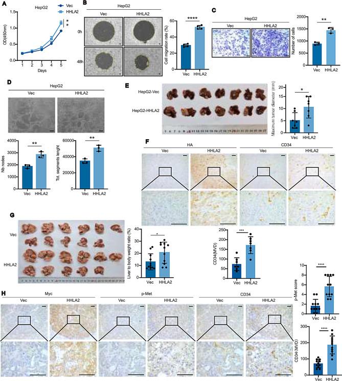 https://cdn.ncbi.nlm.nih.gov/pmc/blobs/e2f5/12090556/83301ffc15ed/13046_2025_3407_Fig1_HTML.jpg