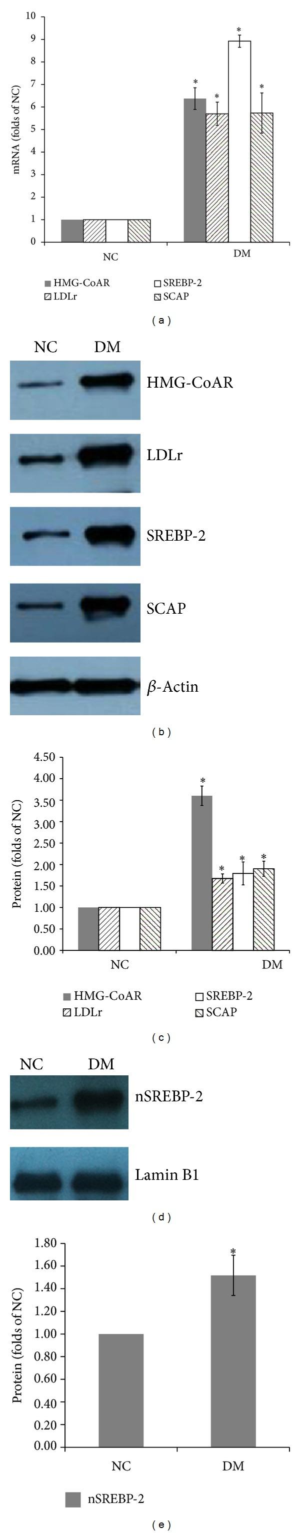 https://cdn.ncbi.nlm.nih.gov/pmc/blobs/e2f5/3863482/f6a4d11b2d0e/IJE2013-592576.004.jpg