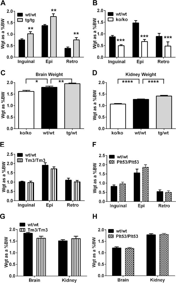 https://cdn.ncbi.nlm.nih.gov/pmc/blobs/e2f5/4571302/0a7cbb8d7746/2475fig2.jpg