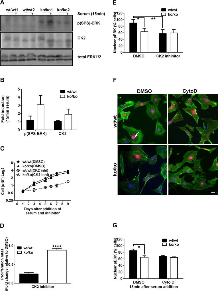 https://cdn.ncbi.nlm.nih.gov/pmc/blobs/e2f5/4571302/0c2105f0da4b/2475fig7.jpg