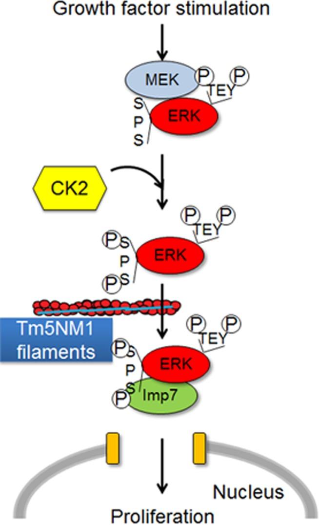 https://cdn.ncbi.nlm.nih.gov/pmc/blobs/e2f5/4571302/81916e647595/2475fig9.jpg