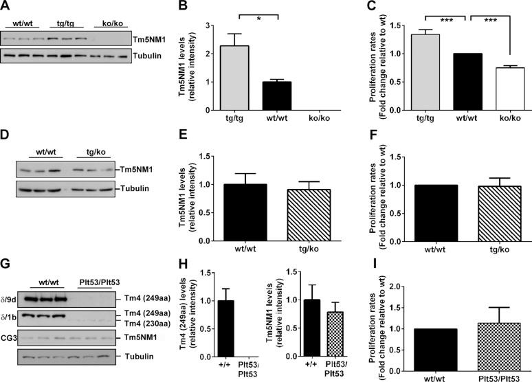 https://cdn.ncbi.nlm.nih.gov/pmc/blobs/e2f5/4571302/ffbca23c4b60/2475fig1.jpg
