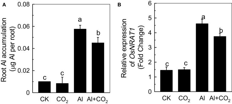 https://cdn.ncbi.nlm.nih.gov/pmc/blobs/e2f7/5513963/6415312799ee/fphys-08-00512-g0002.jpg