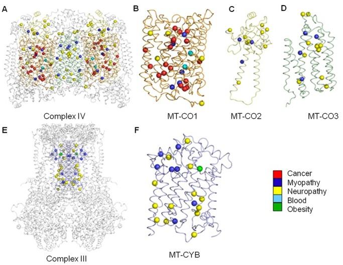 https://cdn.ncbi.nlm.nih.gov/pmc/blobs/e2f8/3706435/25bea97b561f/pone.0069003.g002.jpg