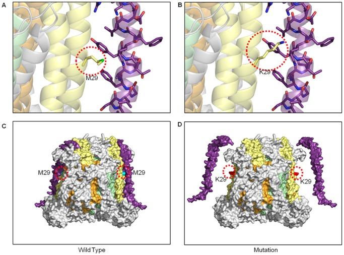 https://cdn.ncbi.nlm.nih.gov/pmc/blobs/e2f8/3706435/6cf70e3e17bf/pone.0069003.g005.jpg