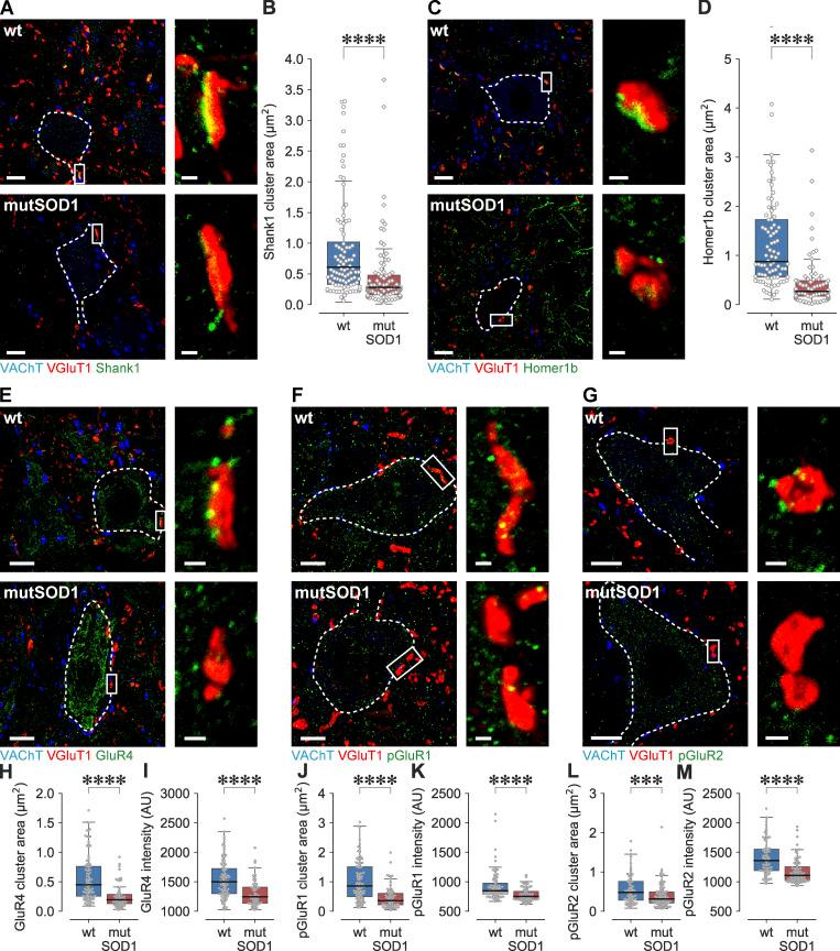 https://cdn.ncbi.nlm.nih.gov/pmc/blobs/e2f8/7398175/b2247174b0d4/JEM_20191734_Fig2.jpg