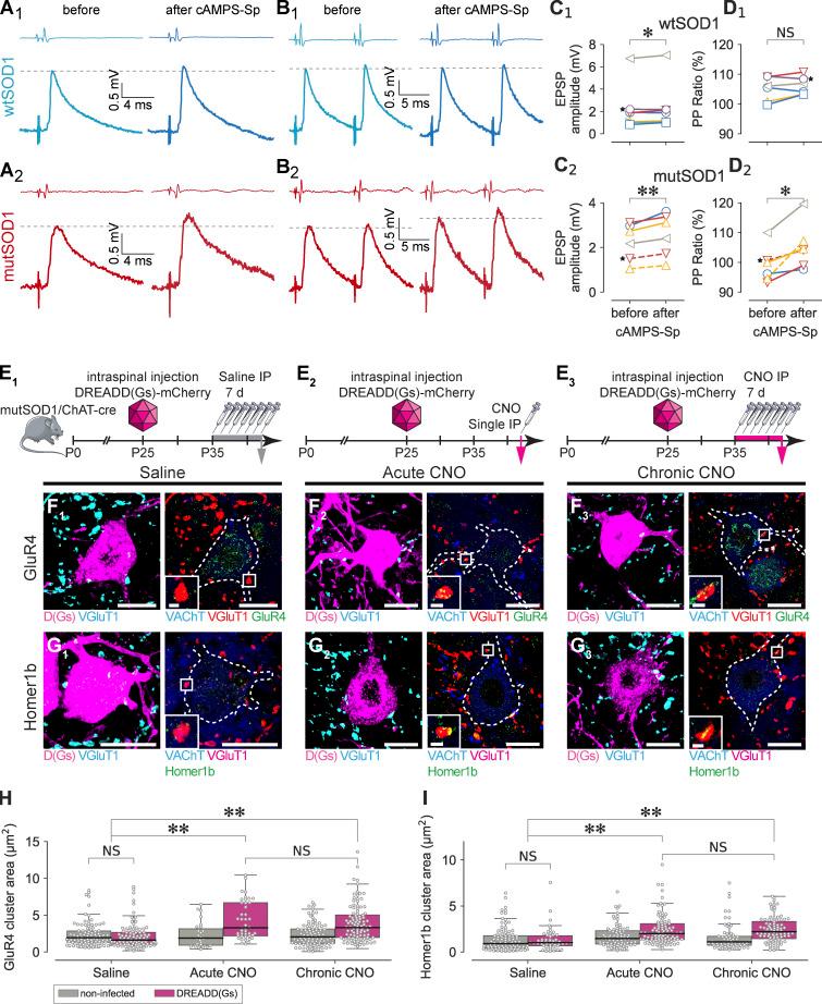 https://cdn.ncbi.nlm.nih.gov/pmc/blobs/e2f8/7398175/f743bd6db446/JEM_20191734_Fig3.jpg