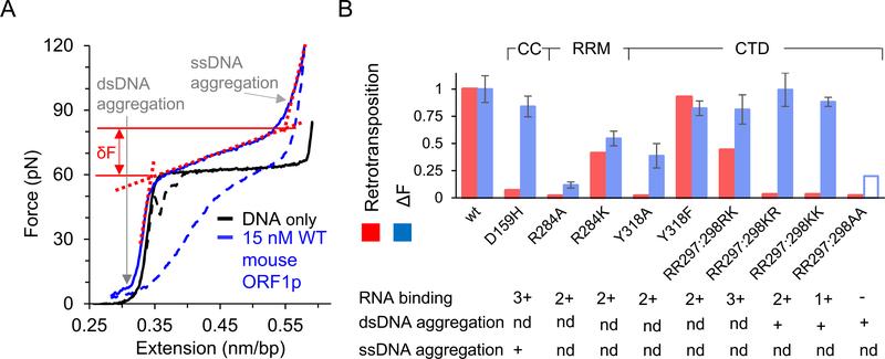 https://cdn.ncbi.nlm.nih.gov/pmc/blobs/e2fb/6428221/9f39de60afc4/nihms-1521012-f0005.jpg